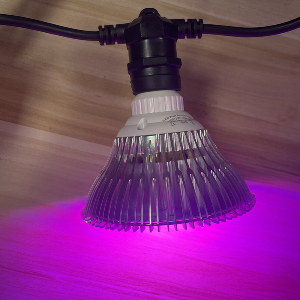10M Cable LED String Commercia - Outdoor Lighting Effects ulasan dan harga