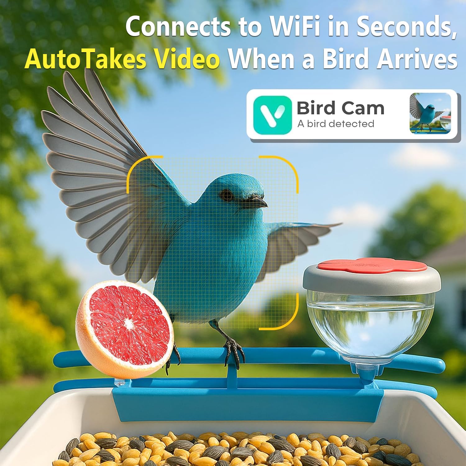 Smart Bird Feeder Camera 2K Li - Motion Sensor Outdoor ulasan dan harga